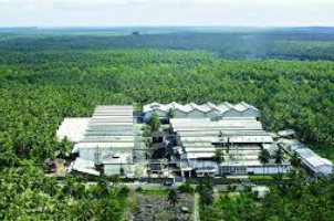 Haycarb - Factory Haycarb - Factory