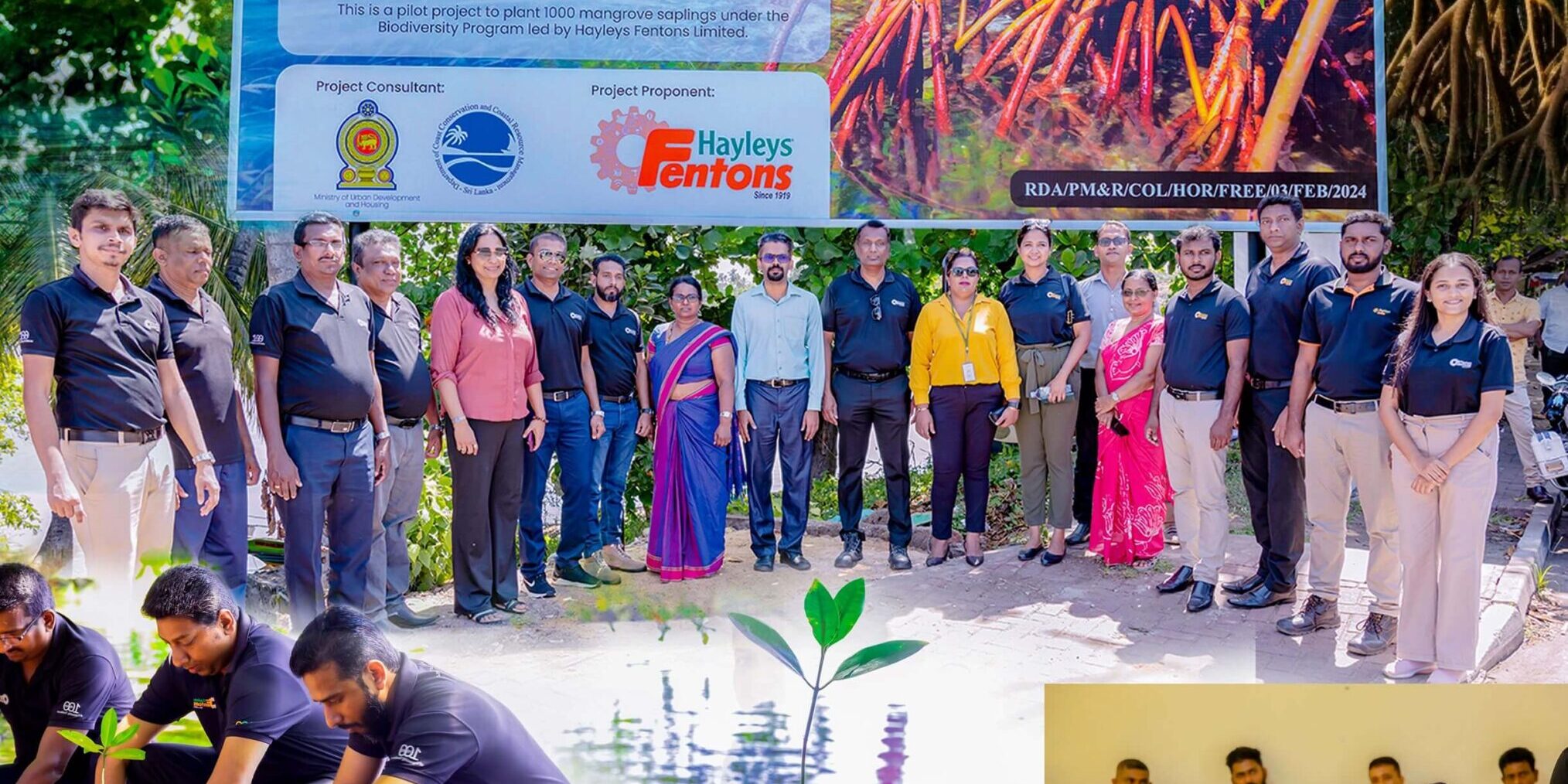 Hayleys-Fentons-Launches-Roots-of-Resilience-Programme-to-Restore-Bolgoda-Rivers-Mangroves