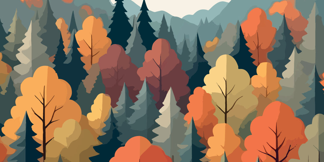 Cover-Banner